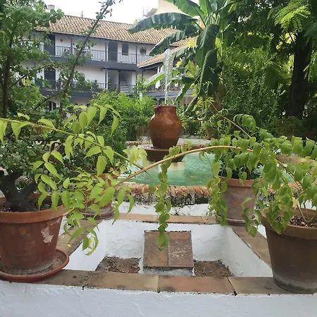Apartamento Oasis En El Centro De *