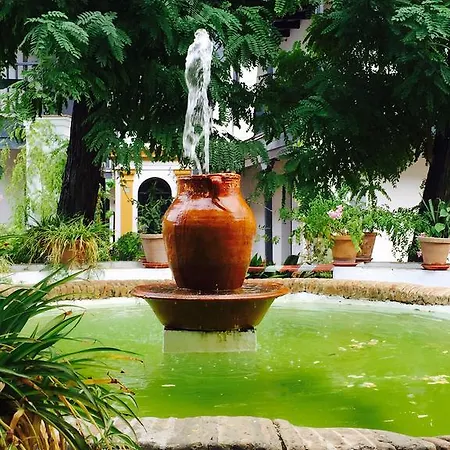 Apartamento Oasis En El Centro De *
