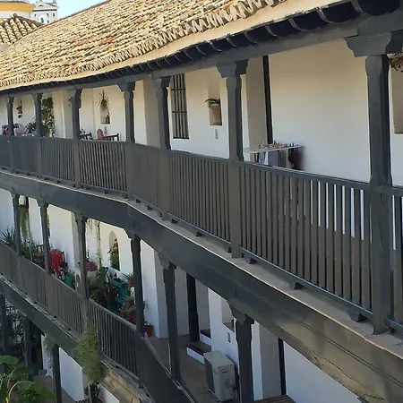 Oasis En El Centro De